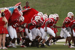 MILAN SPORTS中国站-76人球队文化墙正式揭幕展示历史荣誉，76人队图案